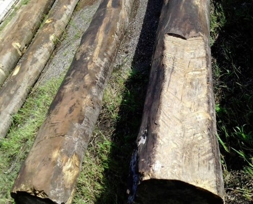 Sourcing River Logs – My Story (part 1) 1
