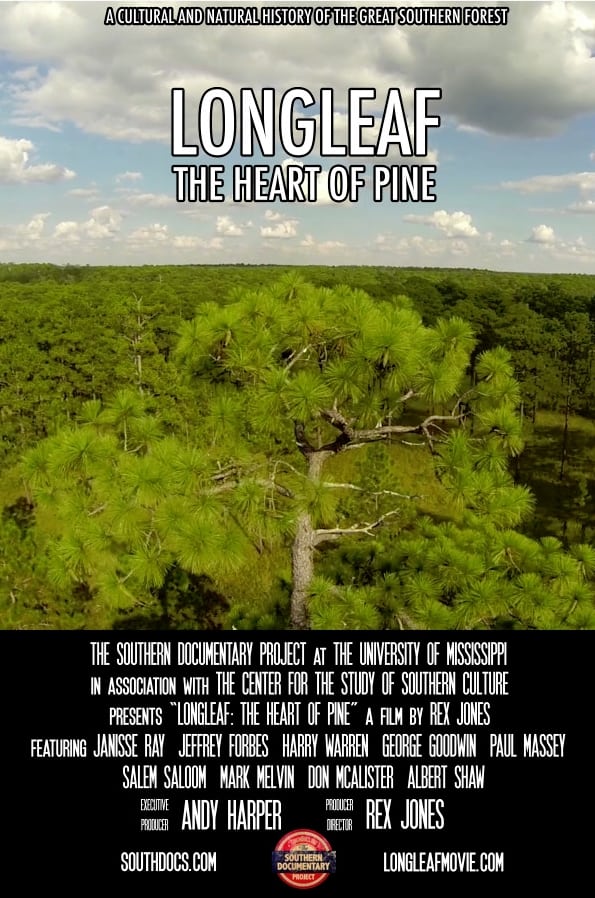 Longleaf: The Heart of Pine 1