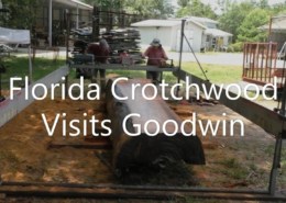 Visit from Florida Crotchwood!