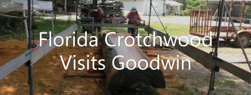 Visit from Florida Crotchwood!