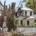 Shel Silverstein Key West Home Destroyed